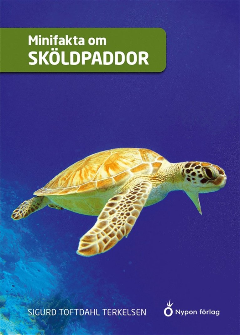 Sigurd Toftdahl Terkelsen - Minifakta om sköldpaddor, Ljudbok