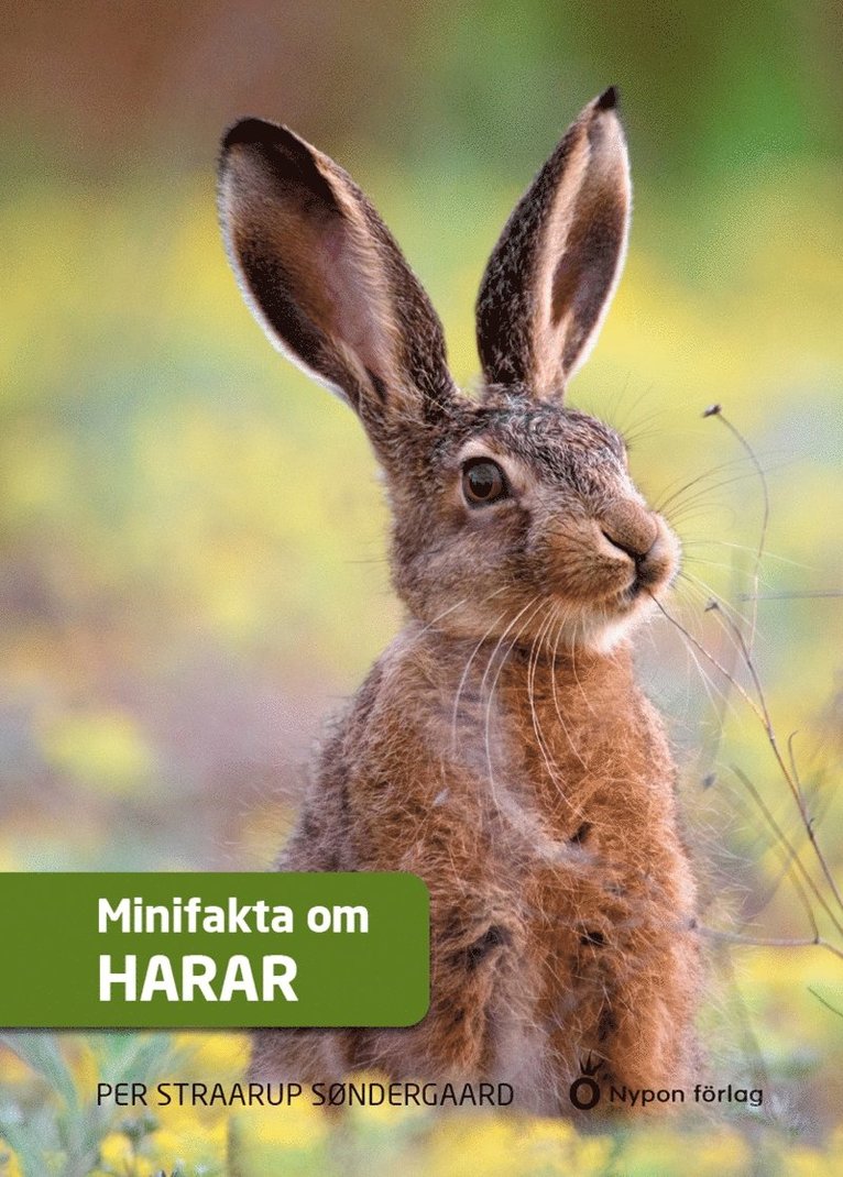 Per Straarup Søndergaard - Minifakta om harar, Ljudbok