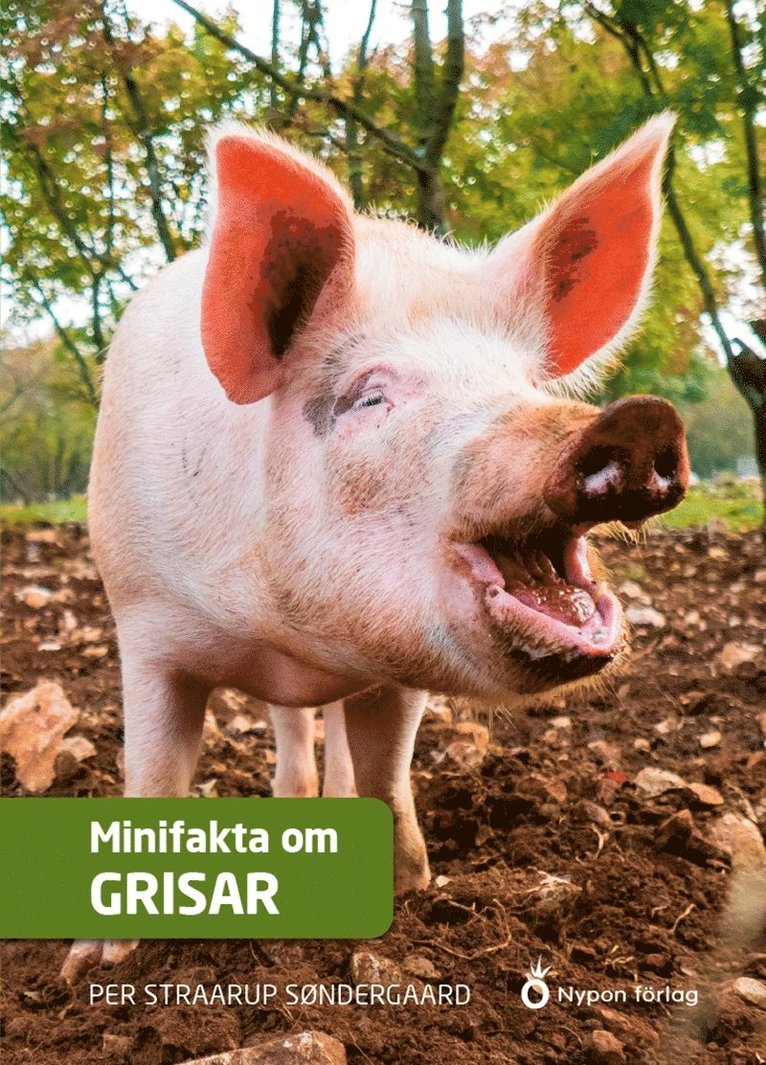 Per Straarup Søndergaard - Minifakta om grisar, Ljudbok