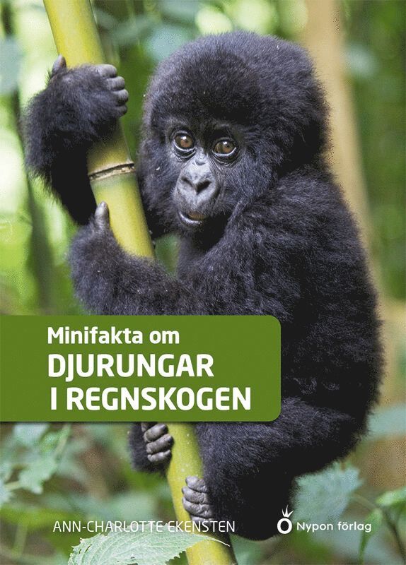 Ann-Charlotte Ekensten - Minifakta om djurungar i regnskogen, E-bok