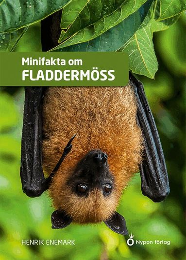 Henrik Enemark - Minifakta om fladdermöss, Kartonnage