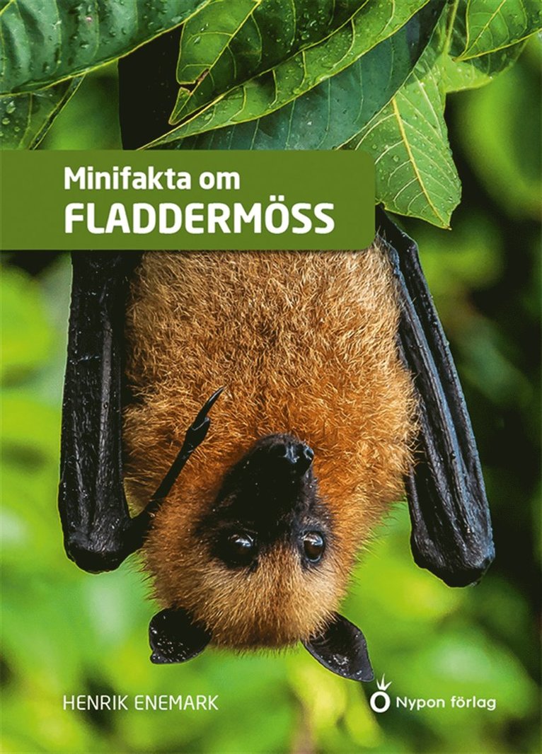 Henrik Enemark - Minifakta om fladdermöss, Ljudbok
