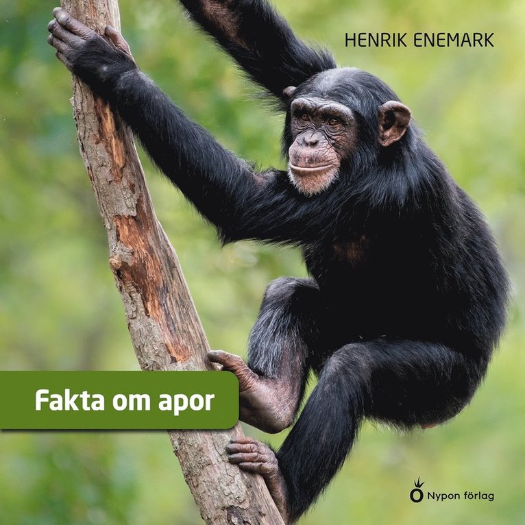 Henrik Enemark - Fakta om apor, Ljudbok