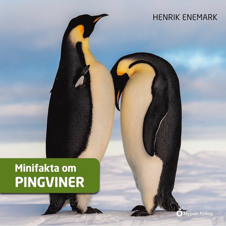Henrik Enemark - Minifakta om pingviner, Ljudbok