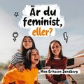 Är du feminist, eller?