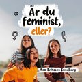 r du feminist, eller?