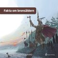 Fakta om bronsldern