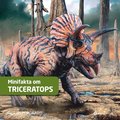Minifakta om triceratops