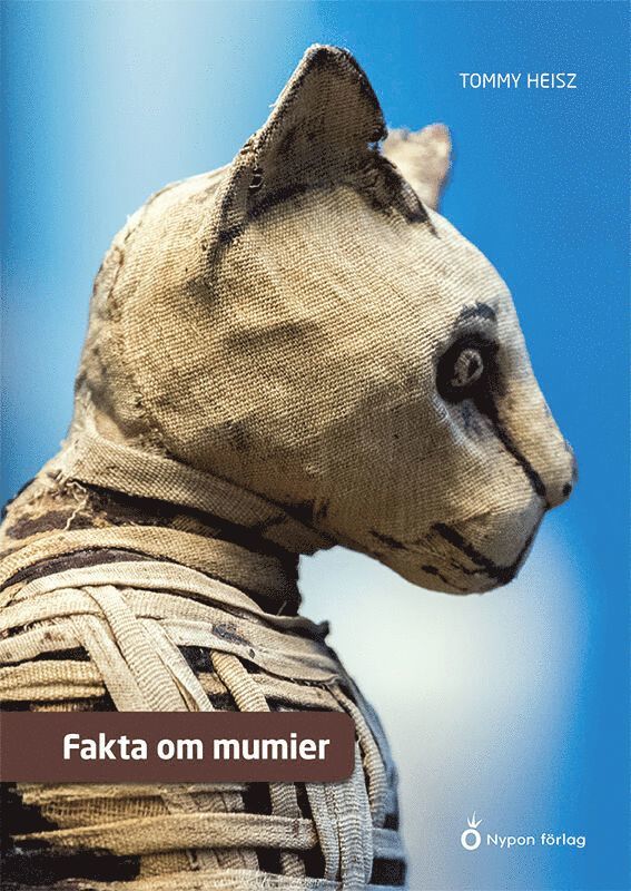 Tommy Heisz - Fakta om mumier, E-bok