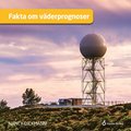 Fakta om vderprognoser