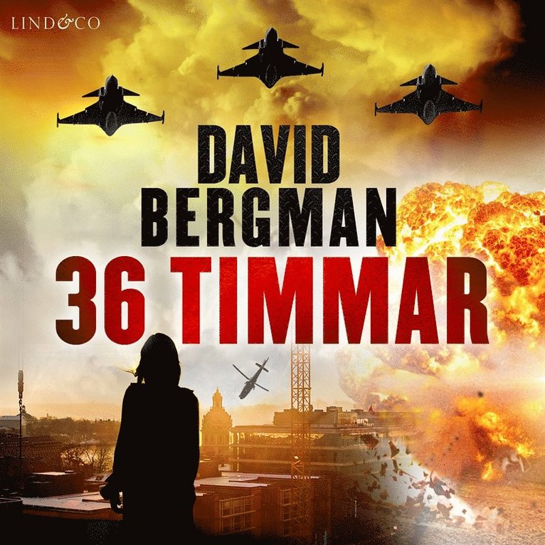 David Bergman - 36 timmar, Ljudbok
