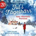 Jul i Fgelkrr - Lucka 20