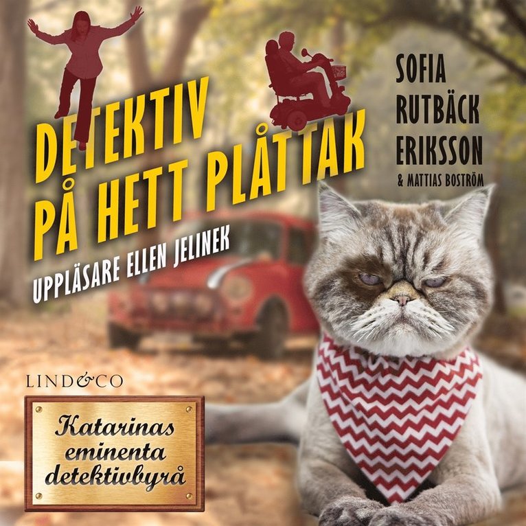 Mattias Boström, Sofia Rutbäck Eriksson - Detektiv på hett plåttak, Ljudbok