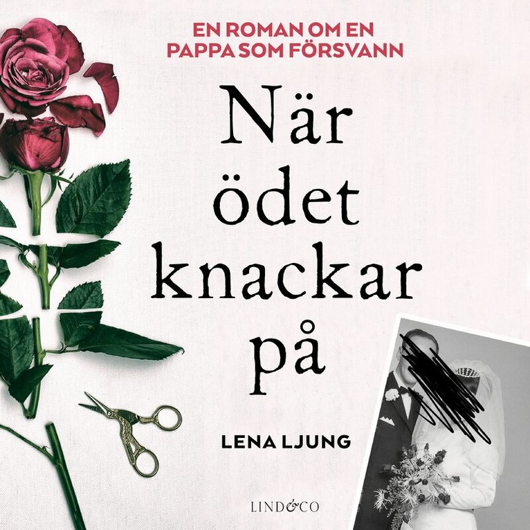 Lena Ljung - När ödet knackar på, Ljudbok