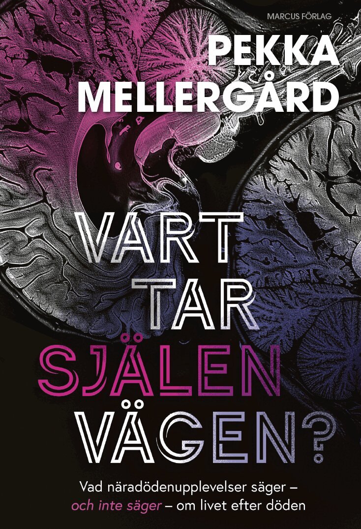 Pekka Mellergård - Vart tar själen vägen? : Vad näradödenupplevelser säger – och inte säger – om livet efter döden, Kartonnage