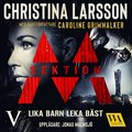 Sektion M: Lika barn leka bäst