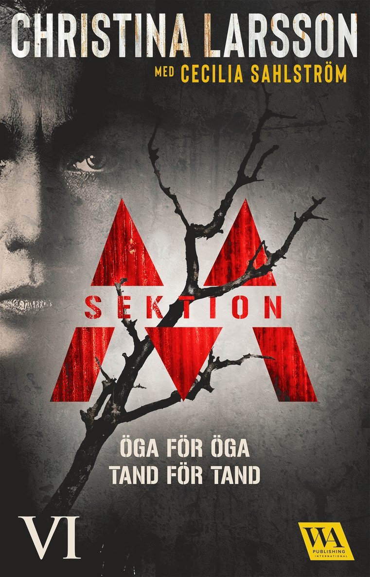 Christina Larsson, Cecilia Sahlström - Sektion M: Öga för öga, tand för tand, E-bok