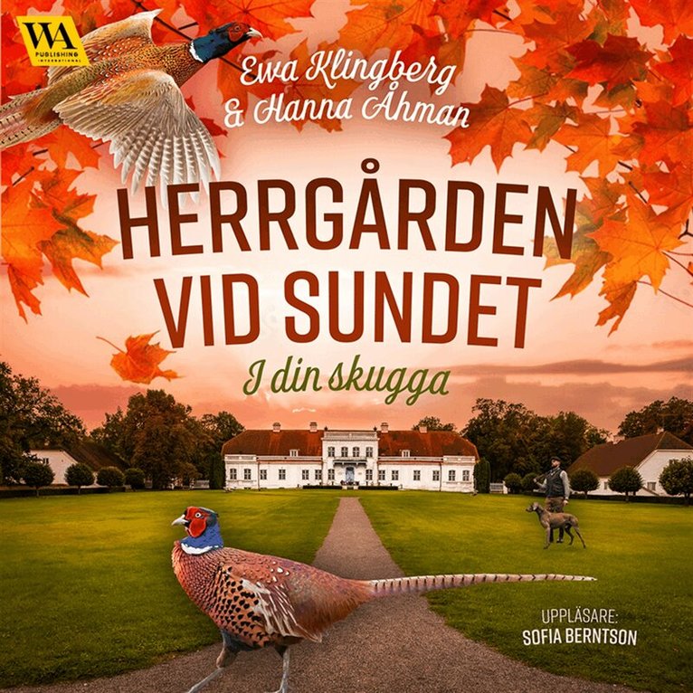 Ewa Klingberg, Hanna Åhman - I din skugga, Ljudbok