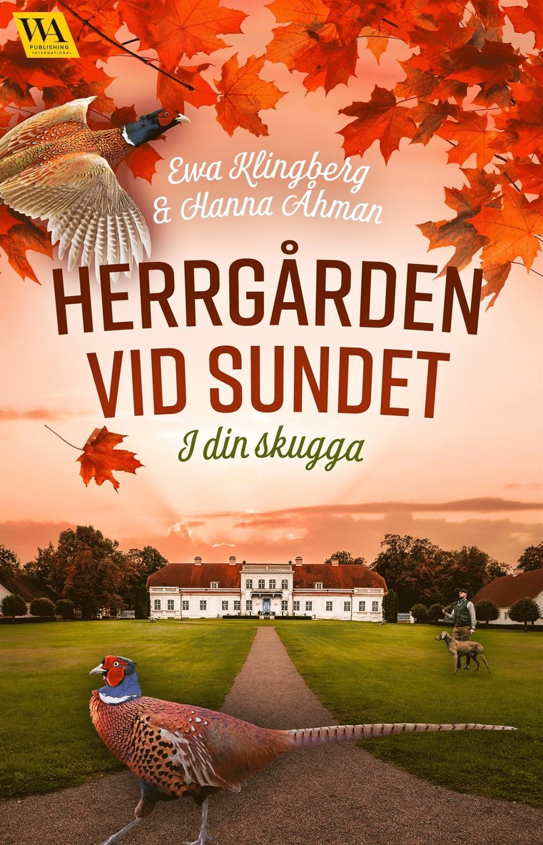 Ewa Klingberg, Hanna Åhman - I din skugga, E-bok