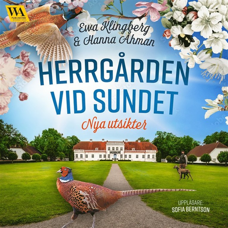 Ewa Klingberg, Hanna Åhman - Nya utsikter, Ljudbok