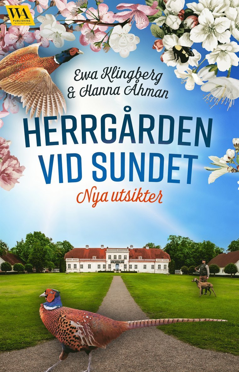 Ewa Klingberg, Hanna Åhman - Nya utsikter, E-bok