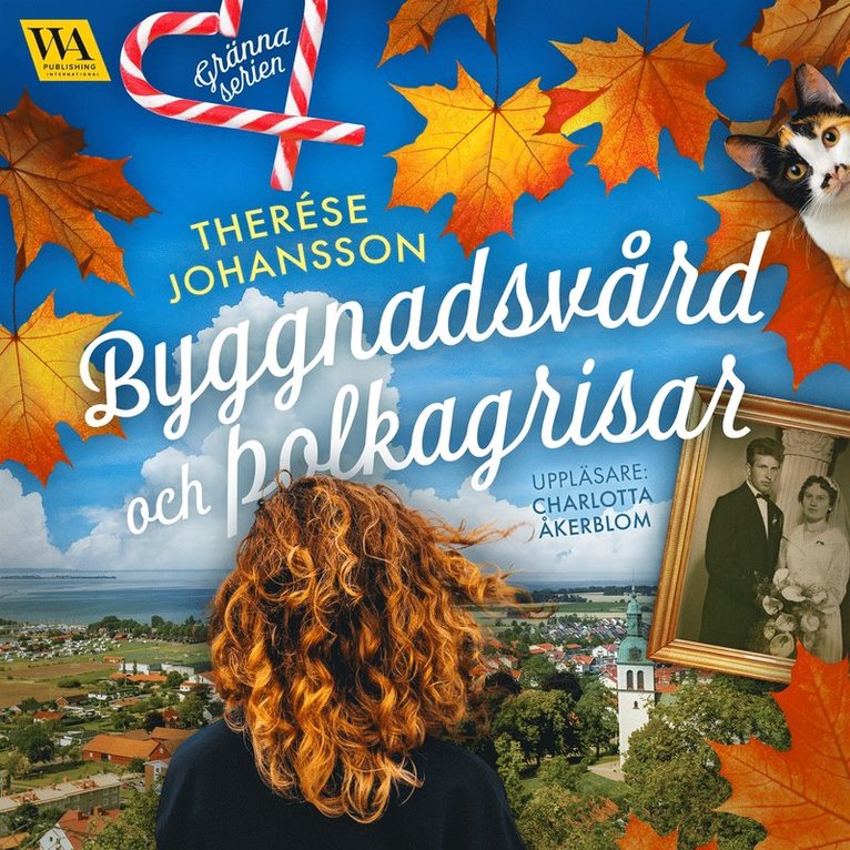 Therése Johansson - Byggnadsvård och polkagrisar, Ljudbok