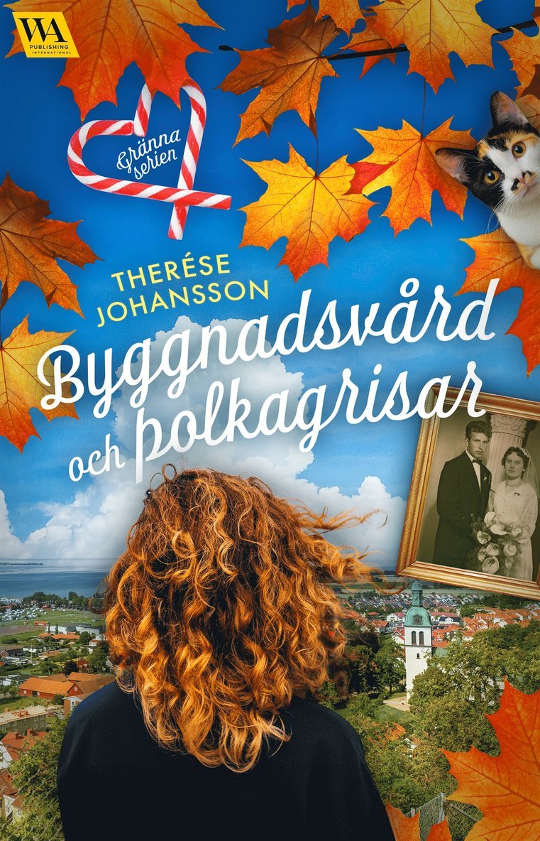 Therése Johansson - Byggnadsvård och polkagrisar, E-bok