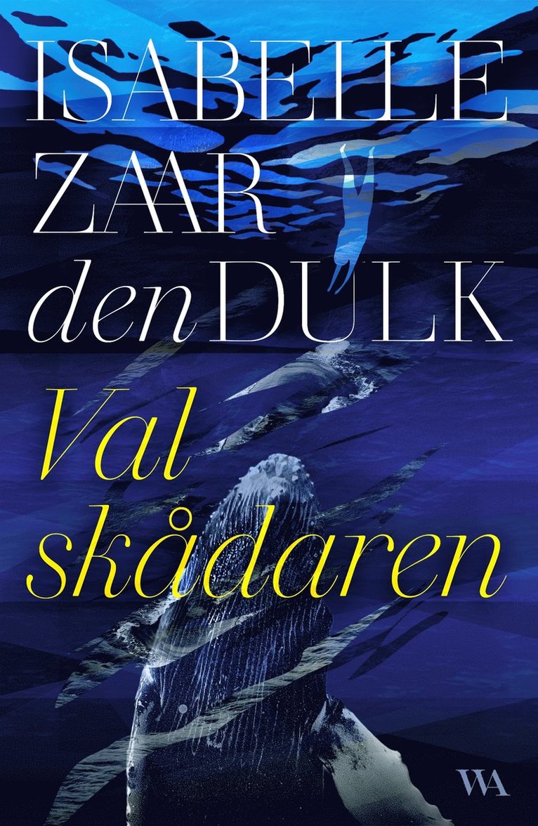 Isabelle Zaar den Dulk - Valskådaren, E-bok