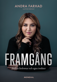 Framgång : andras lärdomar och egna insikter