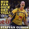 Hur fan gick det till? 