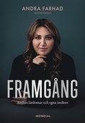 Framgång : Andras lärdomar och egna insikter