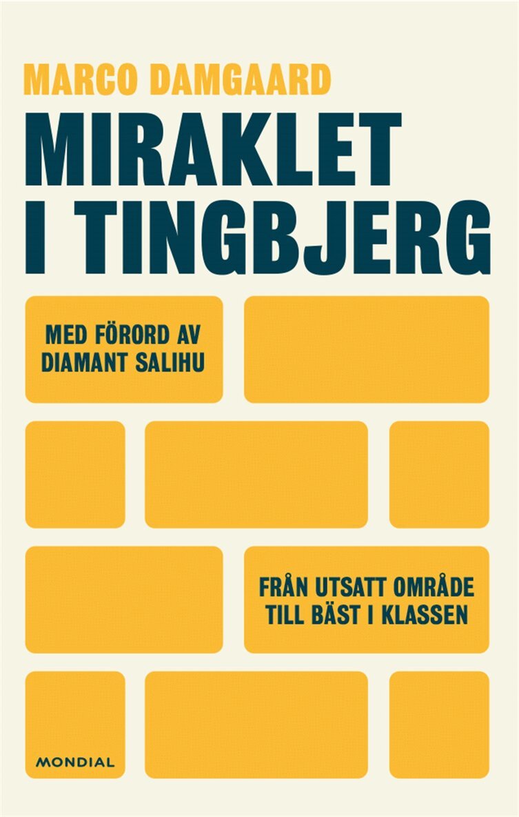 Diamant Salihu, Marco Damgaard - Miraklet i Tingbjerg, E-bok