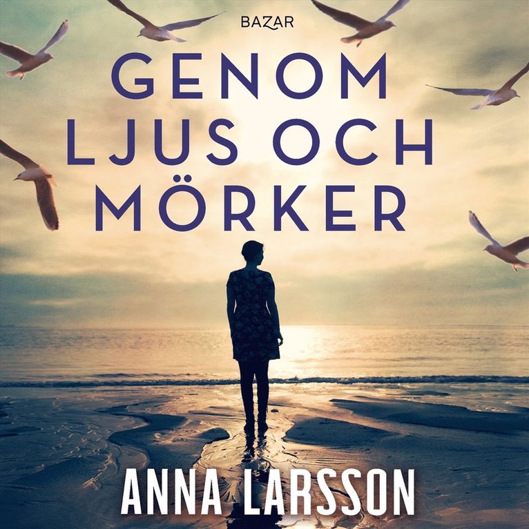 Anna Larsson - Genom ljus och mörker, Ljudbok