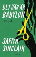 Det hr r Babylon : en biografi
