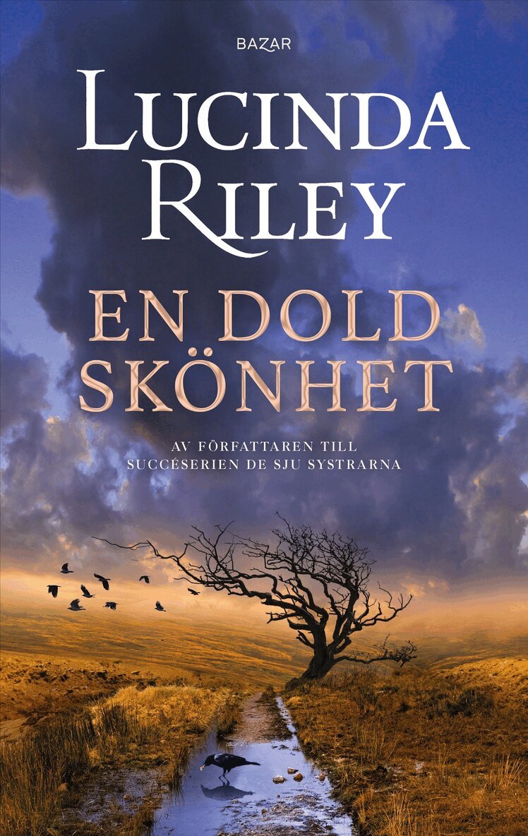 Lucinda Riley - En dold skönhet, E-bok