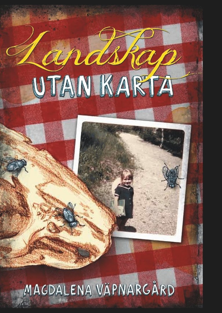 Magdalena Väpnargård - Landskap utan karta, E-bok