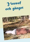 Yuusuf och gnget