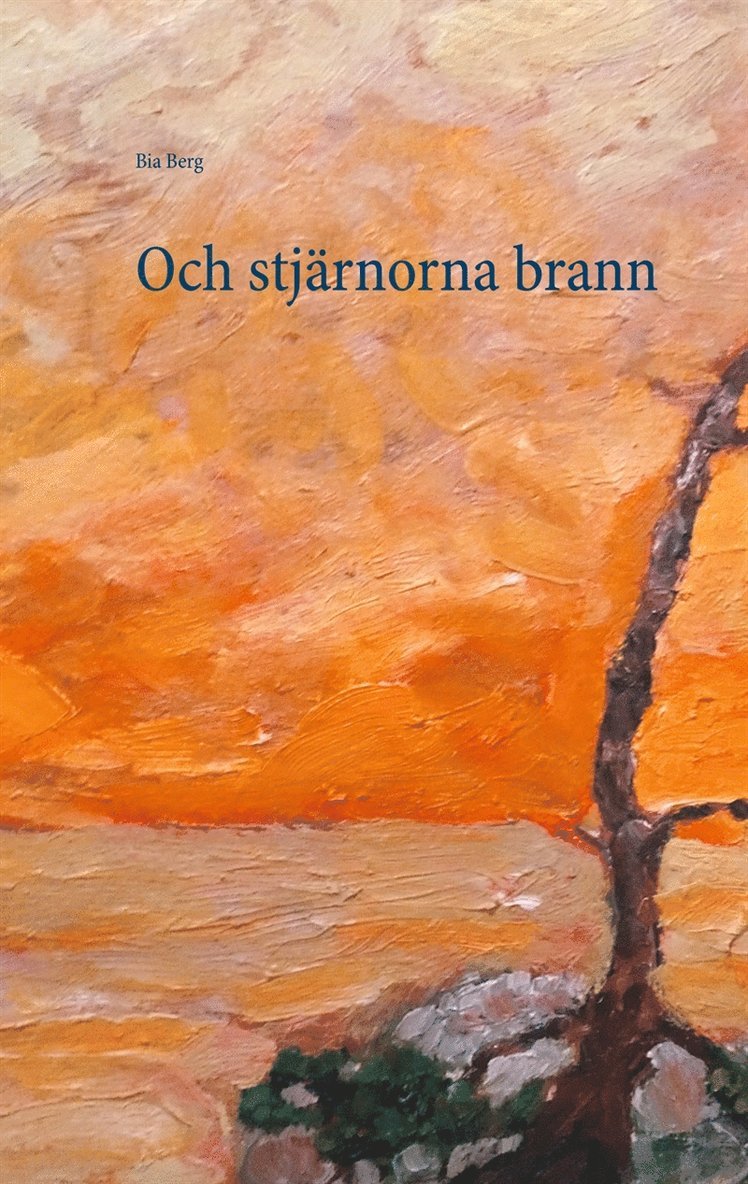 Bia Berg - Och stjärnorna brann, E-bok