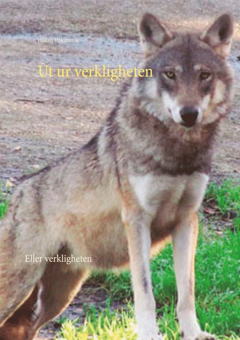 Håkan Håkansvik - Ut ur verkligheten: Eller verkligheten, E-bok