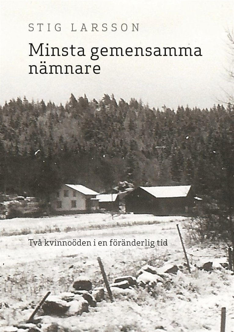 Stig Larsson - Minsta gemensamma nämnare: Två kvinnoöden i en föränderlig tid, E-bok