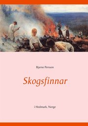 Skogsfinnar: i Hedmark, Norge