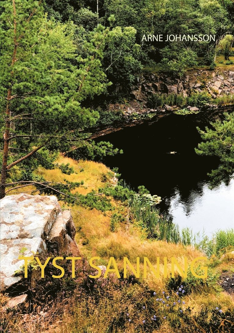 Arne Johansson - TYST SANNING, E-bok