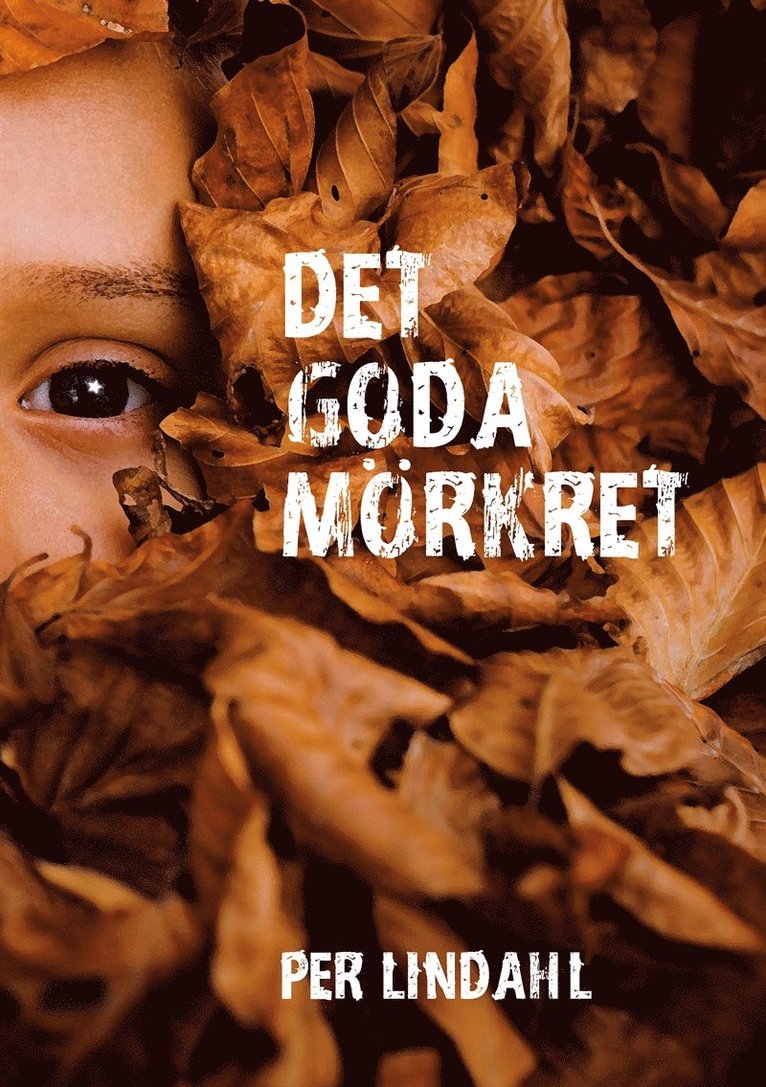 Per Lindahl - Det goda mörkret, E-bok