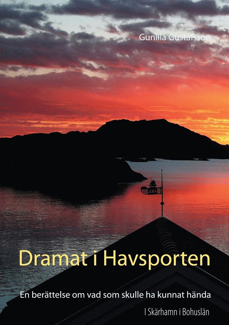 Gunilla Gustafsson - Dramat i Havsporten: En berättelse om vad som skulle ha kunnat hända, E-bok