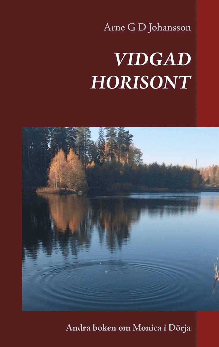 Arne G D Johansson - VIDGAD HORISONT: Andra boken om Monica i Dörja, E-bok