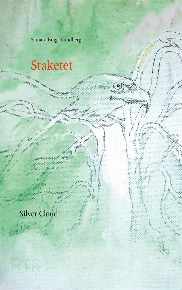 Samara Braga Lundberg - Staketet: SilverCloud, E-bok