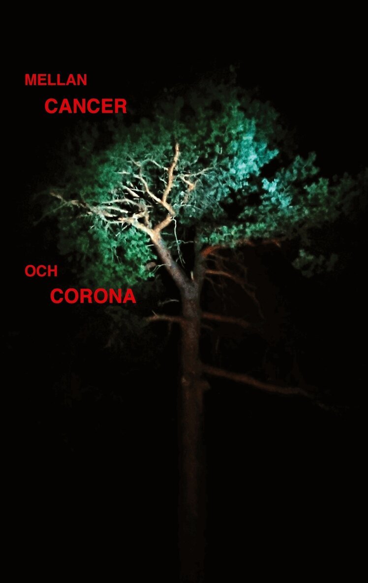 Anita Börlin - Mellan cancer och corona, E-bok. Tillgänglighet: Lägg i varukorg