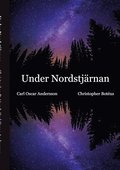 Under Nordstjrnan