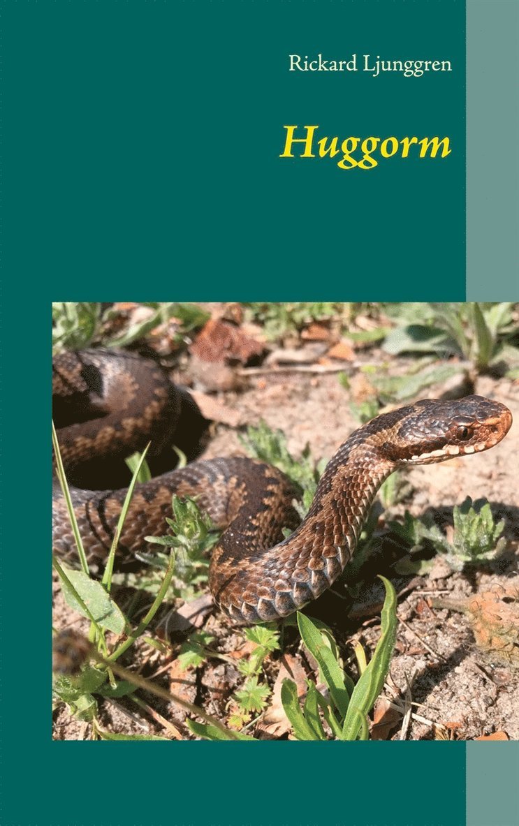 Rickard Ljunggren - Huggorm, E-bok
