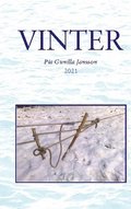 Vinter: I mörker och kyla på de oändliga isvidderna